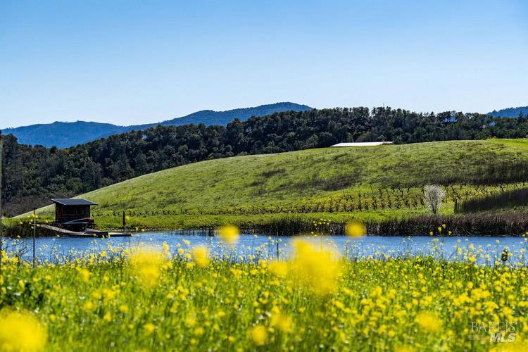 750 Conn Valley Road St. Helena CA 94574