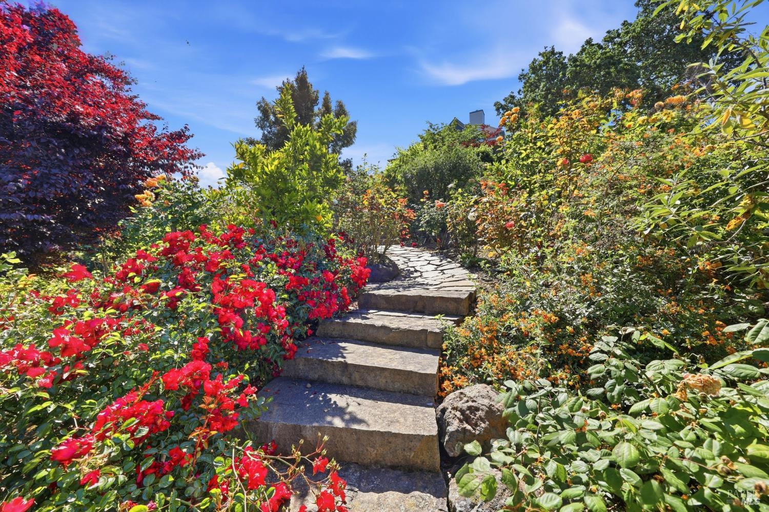 5755 Futura Way Santa Rosa CA 95409