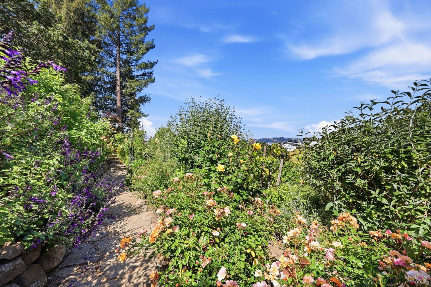 5755 Futura Way Santa Rosa CA 95409