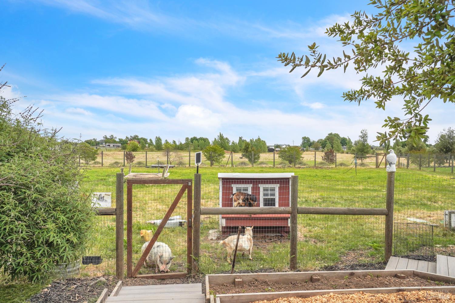 8304 Shadi Lane Winters CA 95694