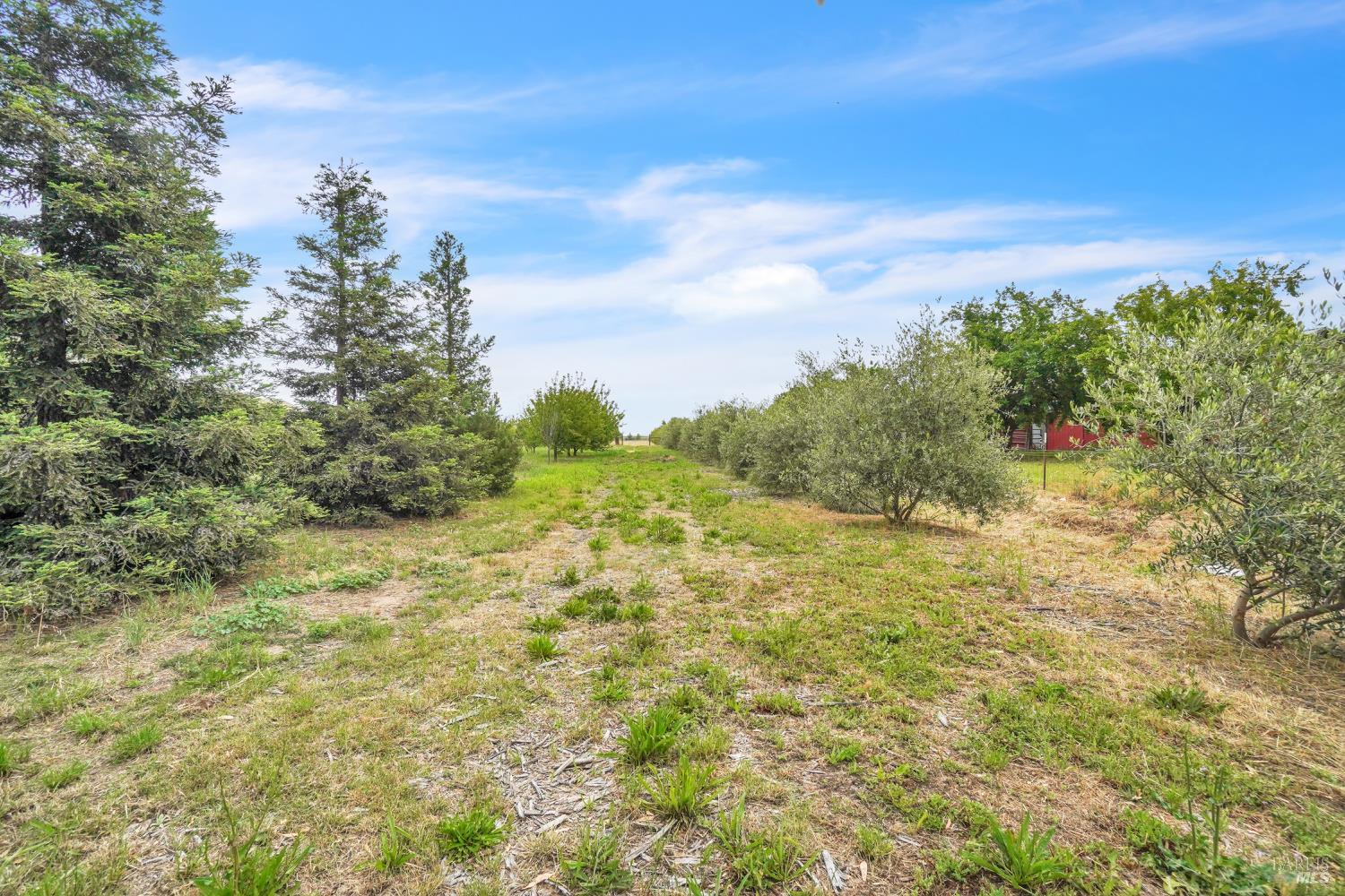 8304 Shadi Lane Winters CA 95694