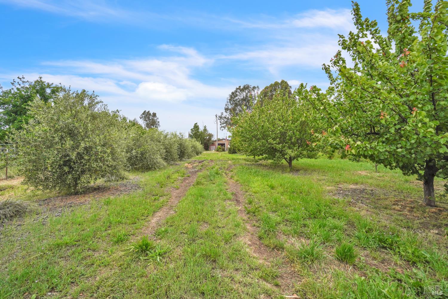 8304 Shadi Lane Winters CA 95694