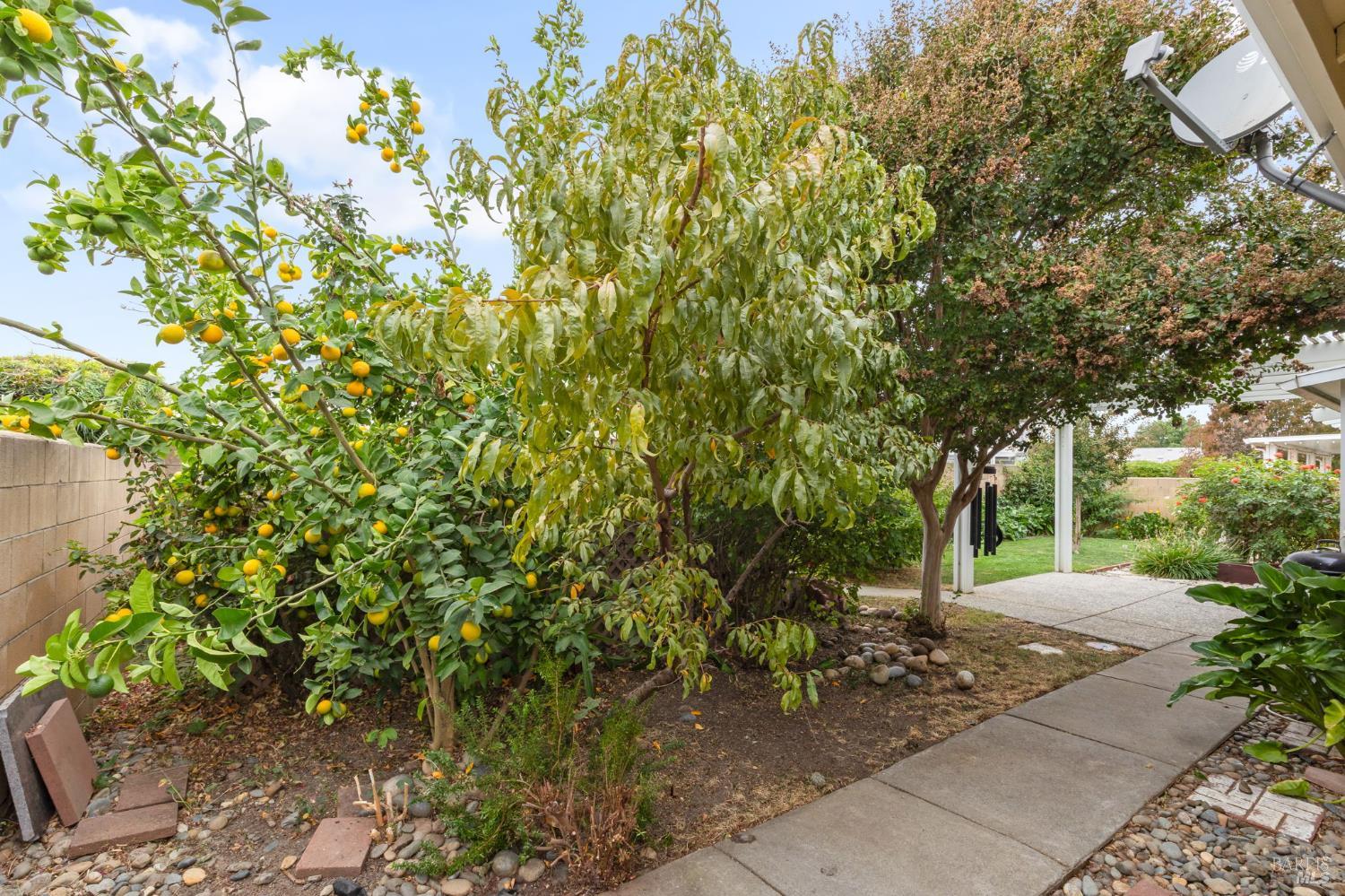 220 Mandarin Circle Vacaville CA 95687