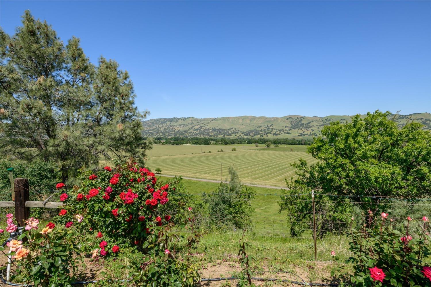 18063 County Road 70 Brooks CA 95606