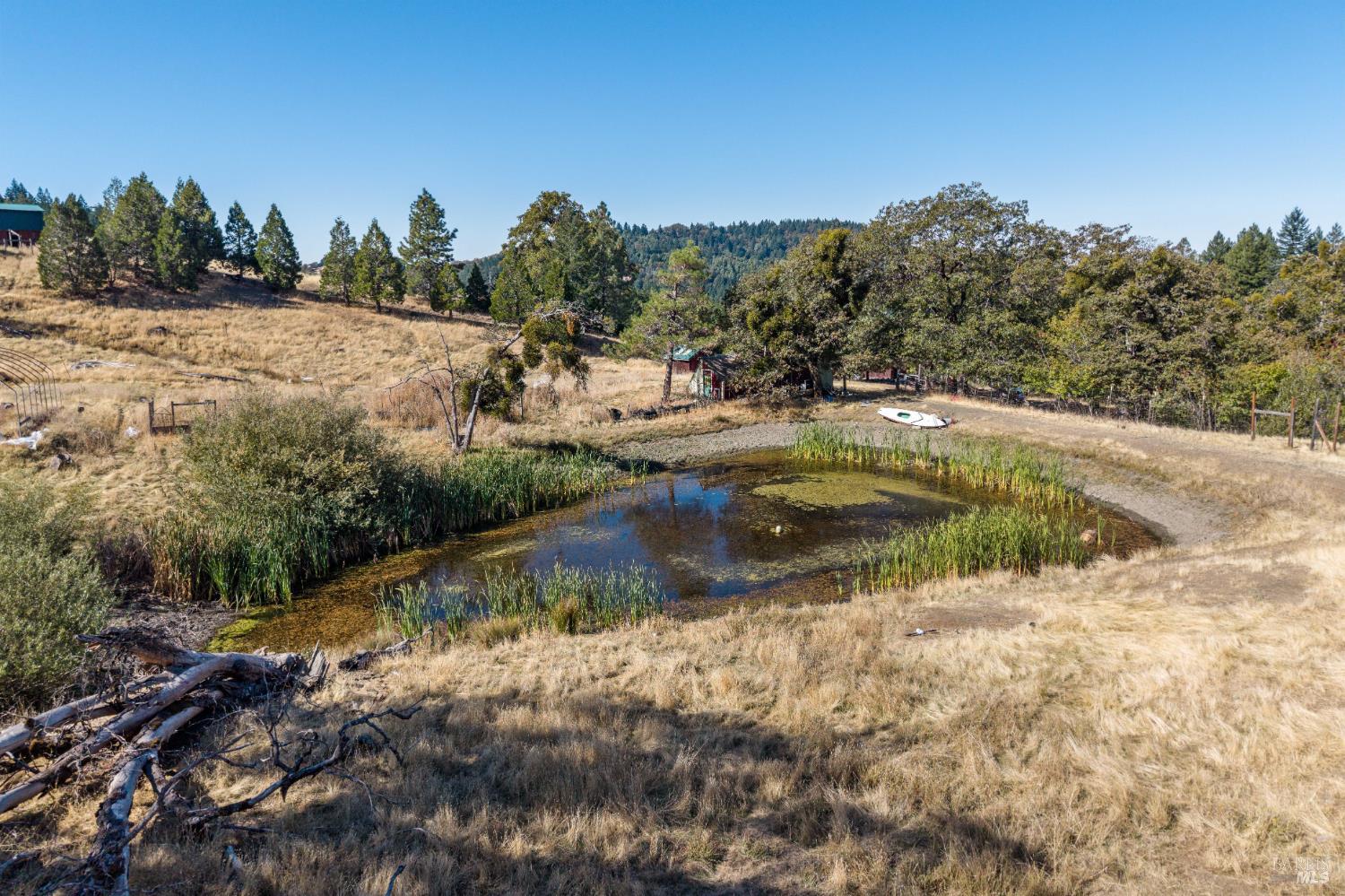 1950 Bunim Road Leggett CA 95585