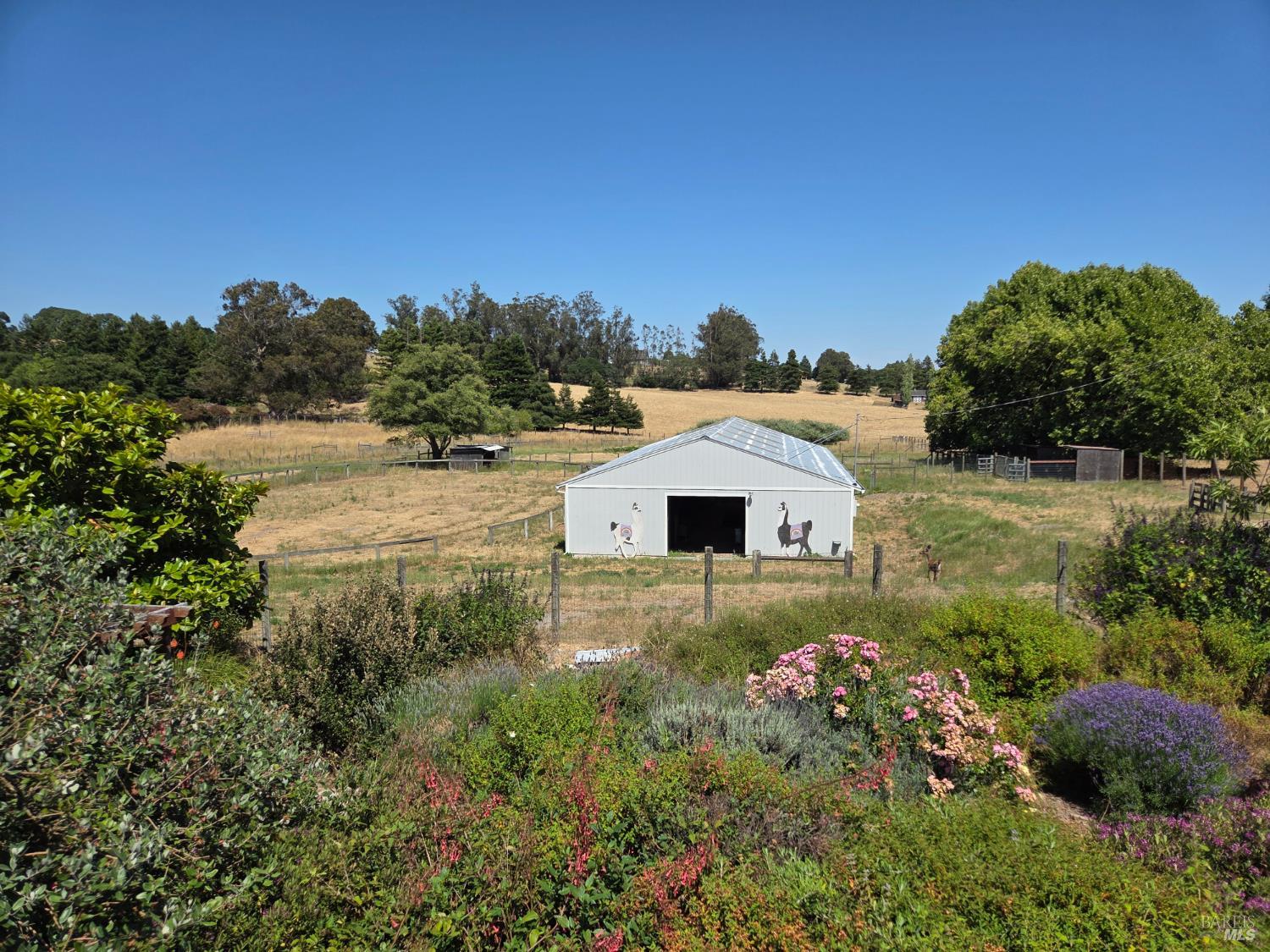 426 King Road Petaluma CA 94952
