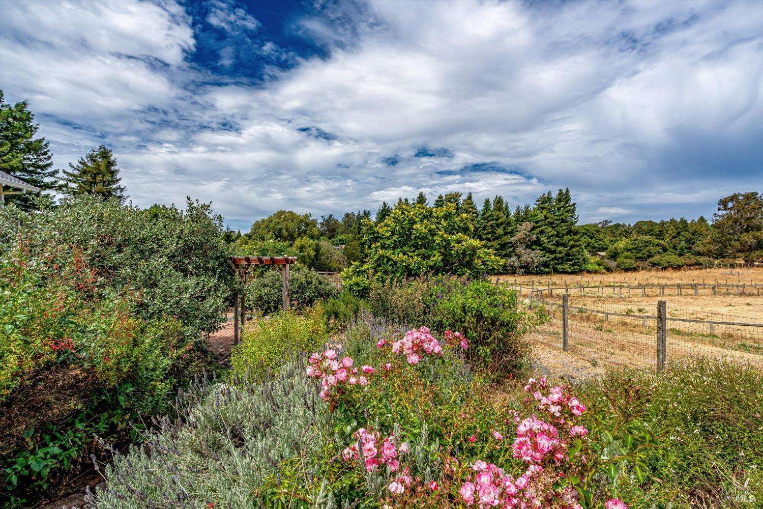 426 King Road Petaluma CA 94952