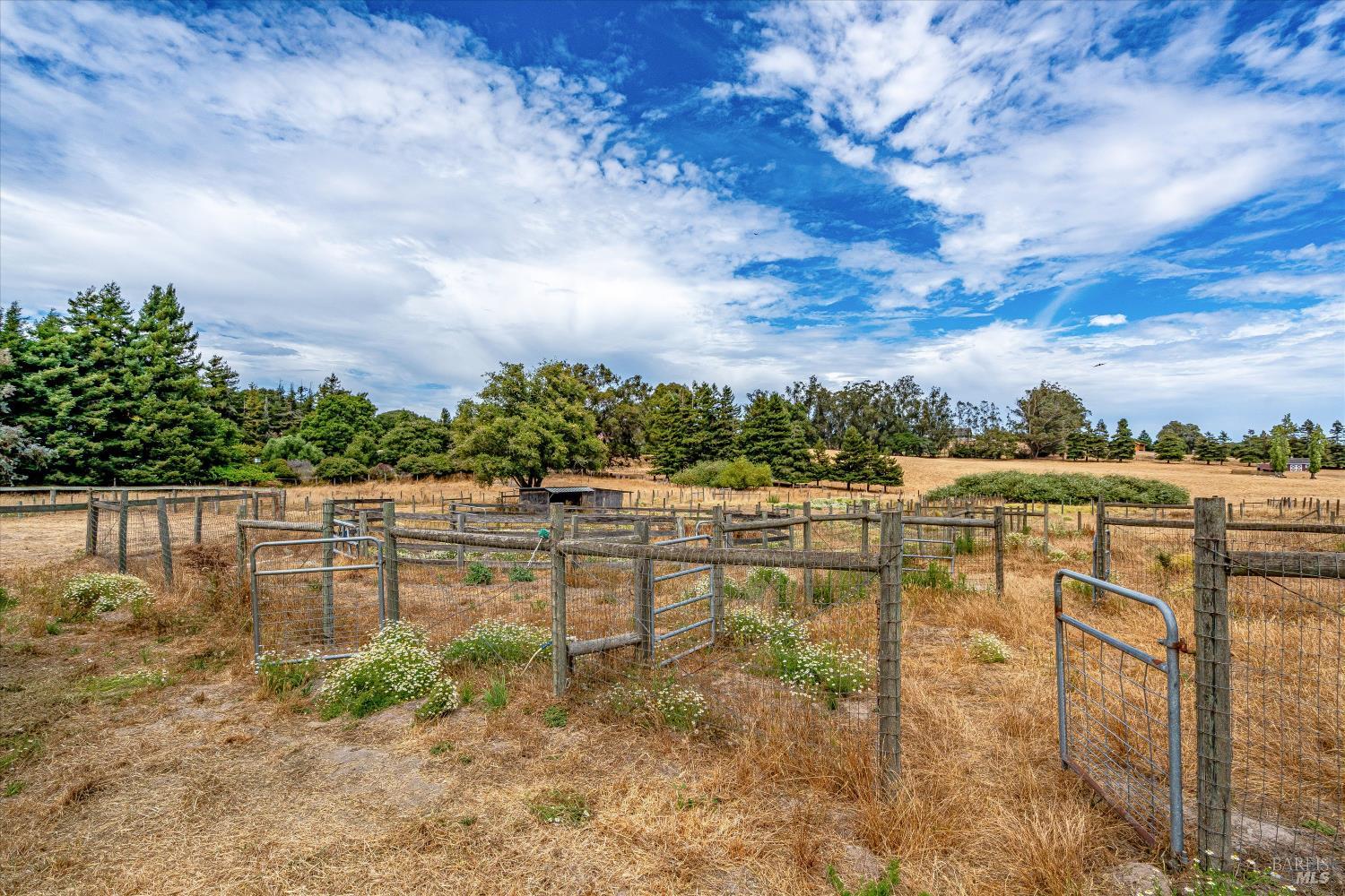 426 King Road Petaluma CA 94952