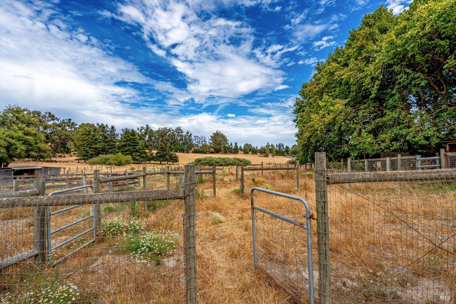 426 King Road Petaluma CA 94952