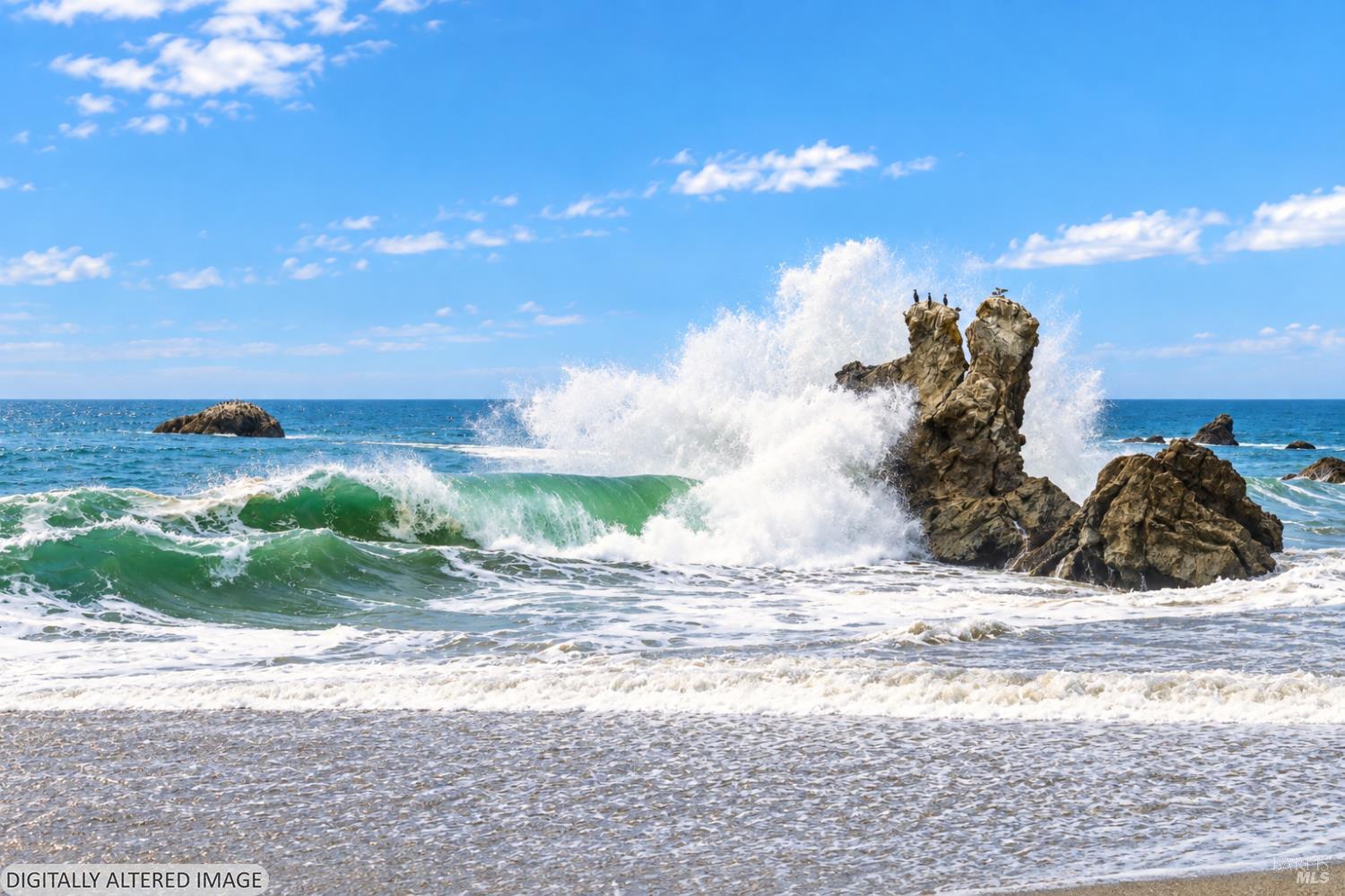 5280 Las Flores Road Bodega Bay CA 94923