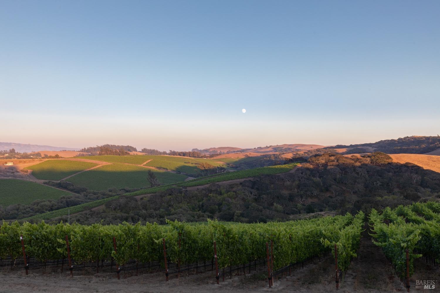 3545 Bloomfield Road Sebastopol CA 95472
