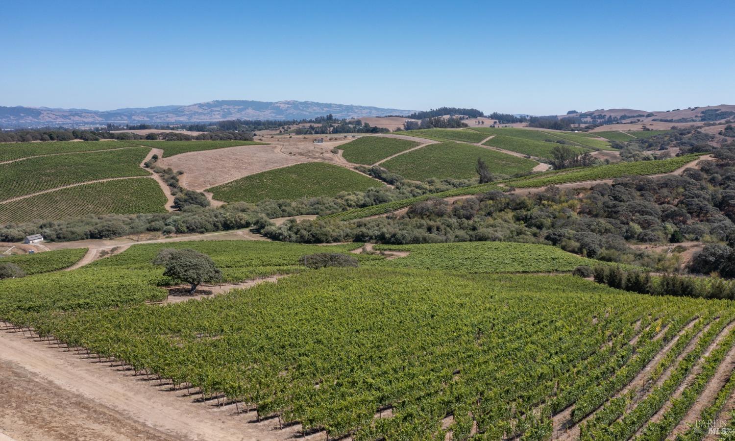 3545 Bloomfield Road Sebastopol CA 95472
