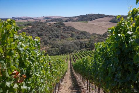 3545 Bloomfield Road Sebastopol CA 95472