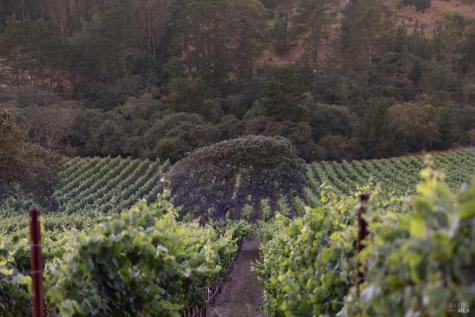 3545 Bloomfield Road Sebastopol CA 95472