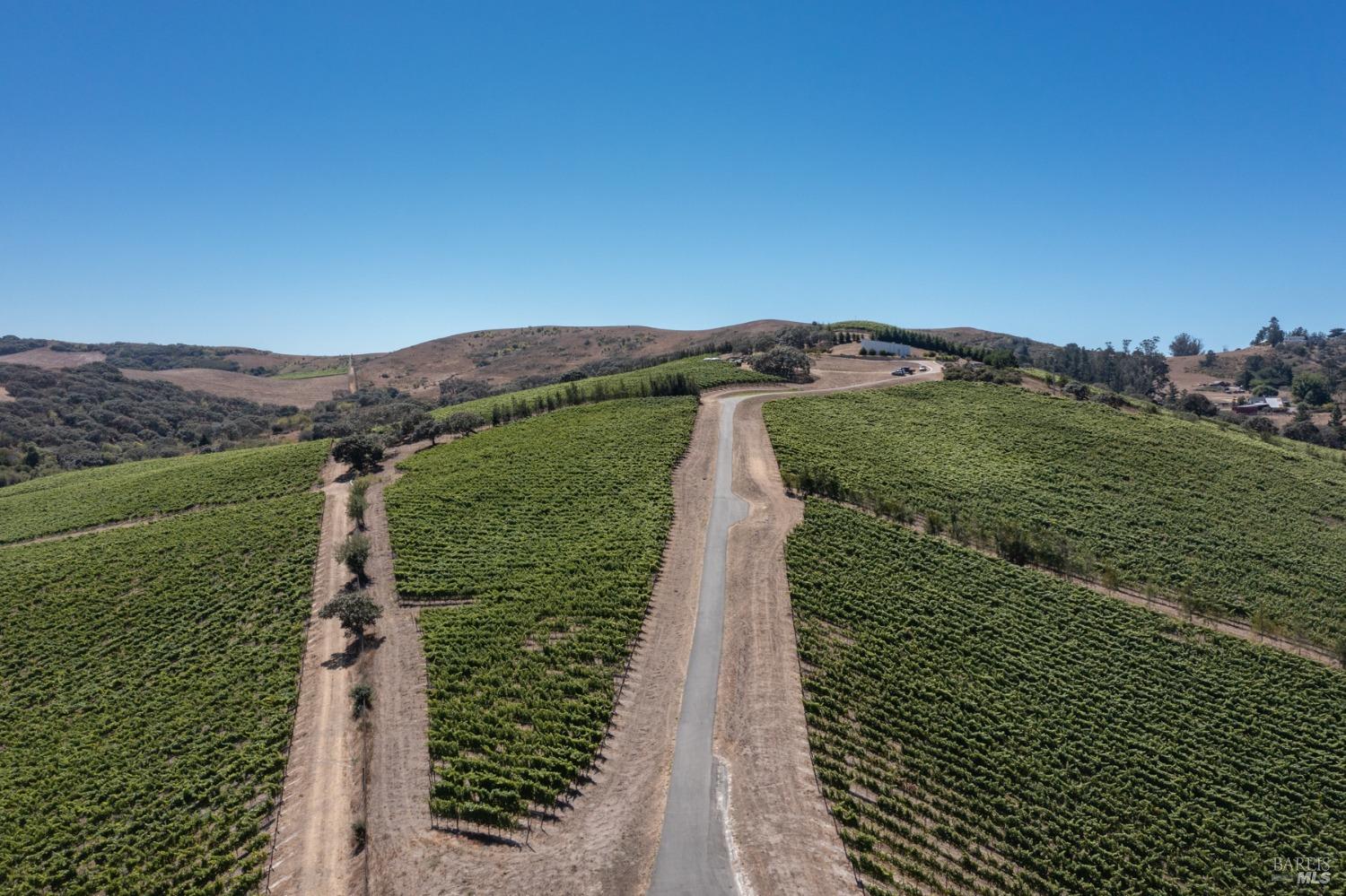 3545 Bloomfield Road Sebastopol CA 95472