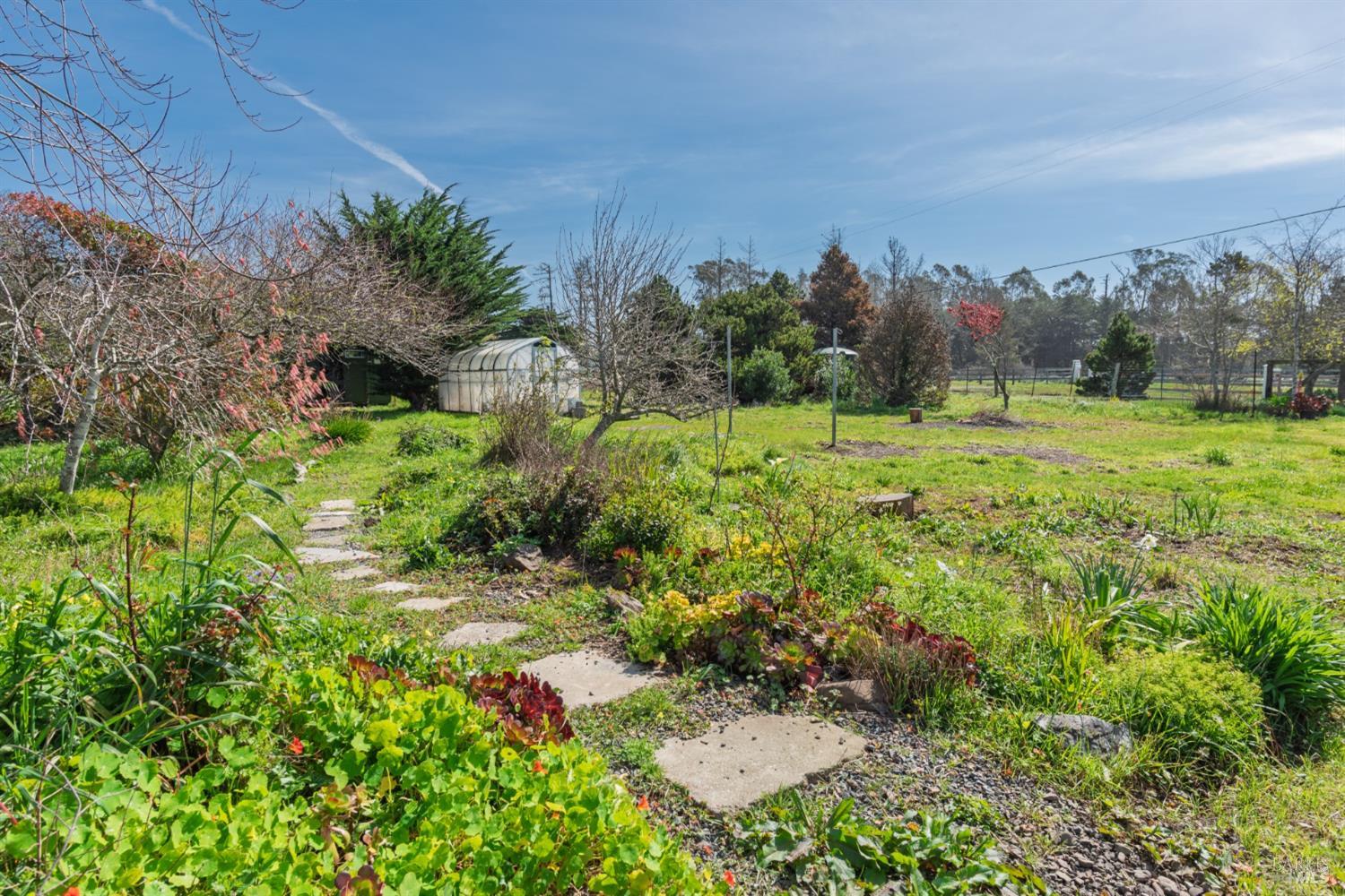 44120 Biaggi Road Manchester CA 95459