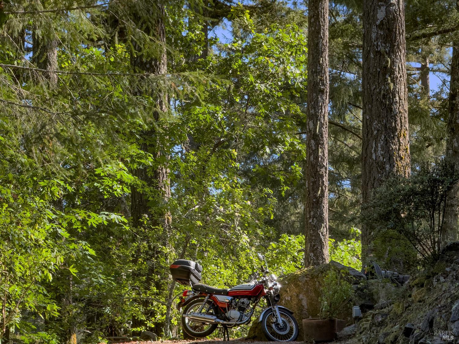 5845 Austin Creek Road Cazadero CA 95421