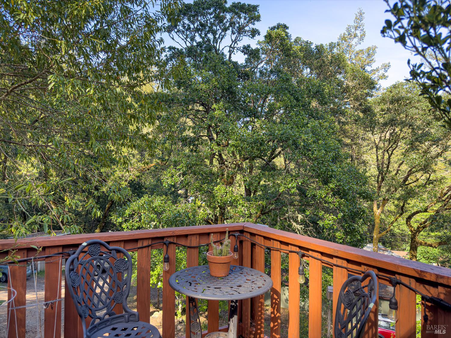5845 Austin Creek Road Cazadero CA 95421