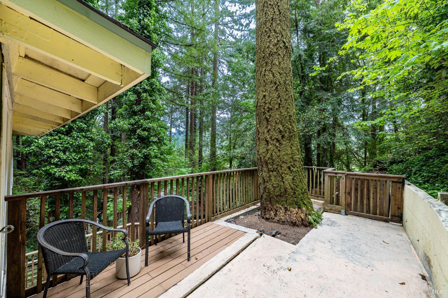 17731 Old Monte Rio Road Guerneville CA 95446