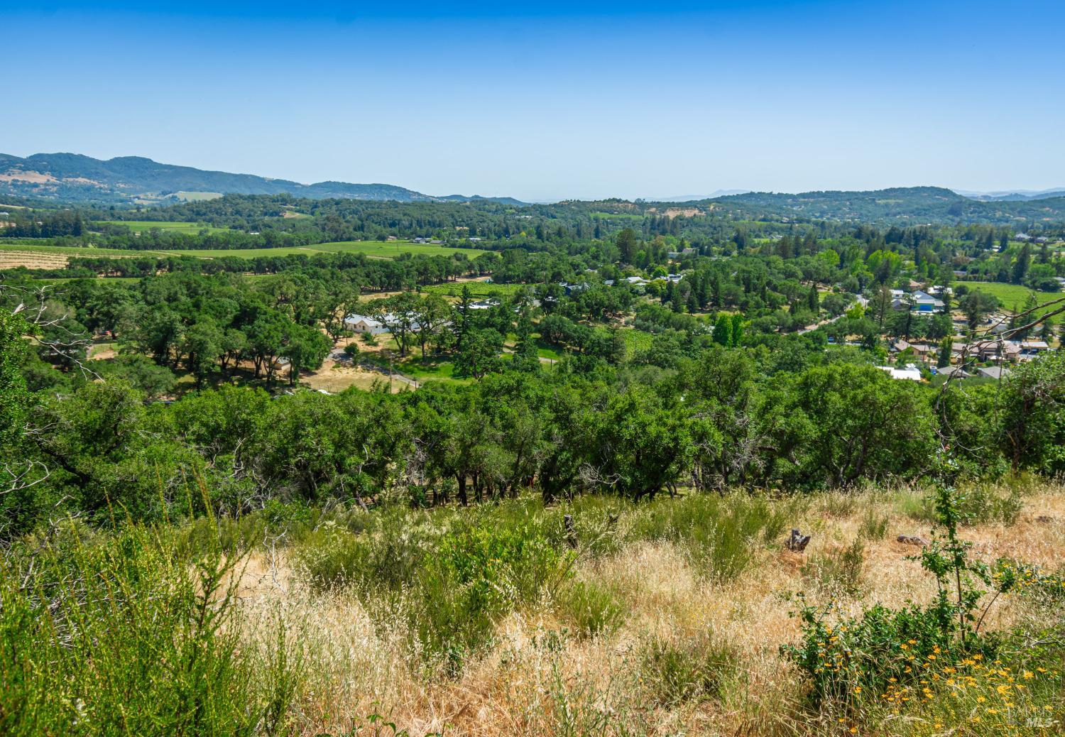 1114 Mount George Avenue Napa CA 94558