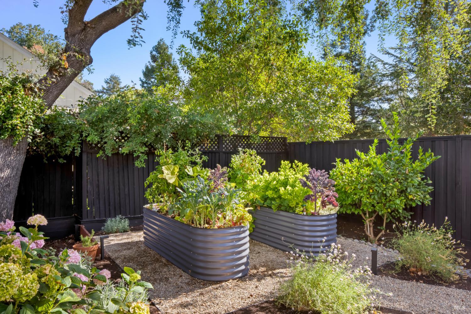 1160 Fryer Creek Drive Sonoma CA 95476