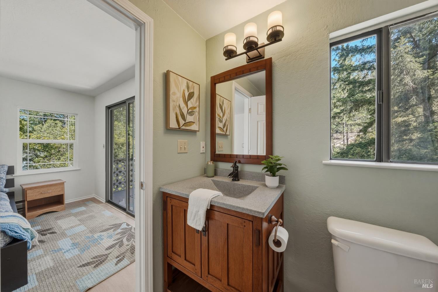 9260 Hoberg Drive E Cobb CA 95426