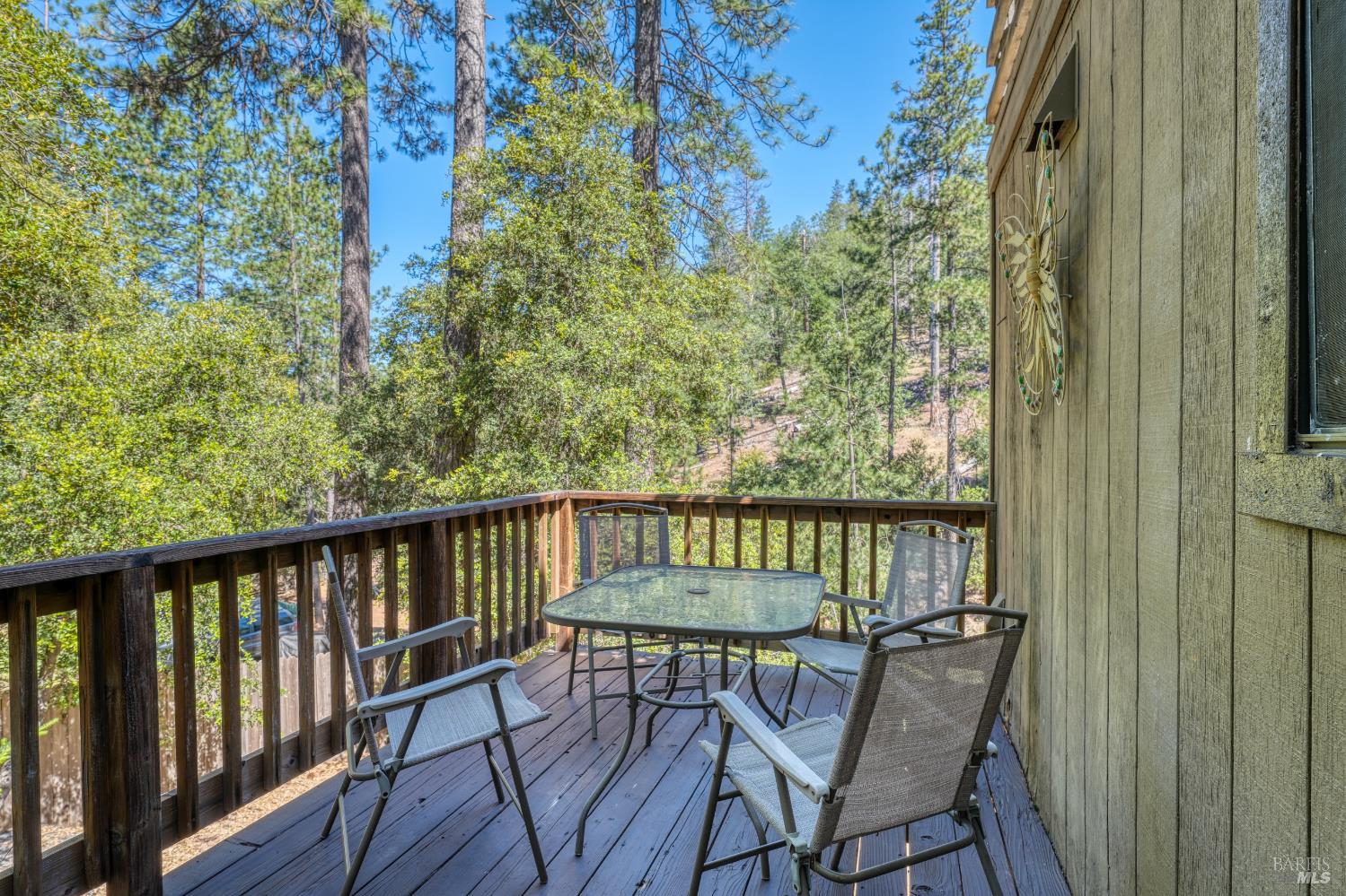 9260 Hoberg Drive E Cobb CA 95426