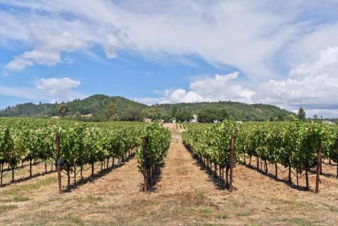 910 Lytton Springs Road Healdsburg CA 95448