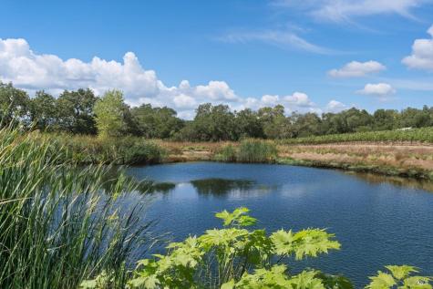 910 Lytton Springs Road Healdsburg CA 95448