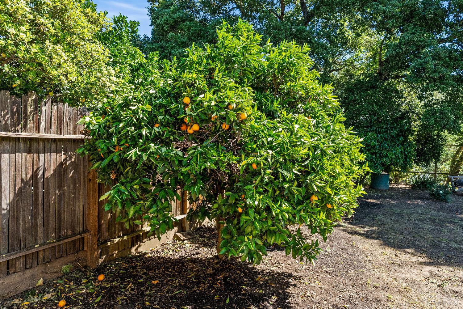 2608 W Pueblo Avenue Napa CA 94558