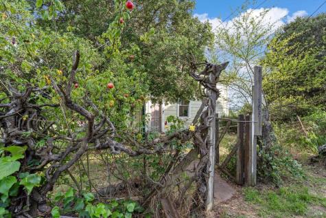 195 Cinnabar Avenue Petaluma CA 94952
