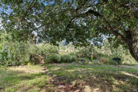 195 Cinnabar Avenue Petaluma CA 94952