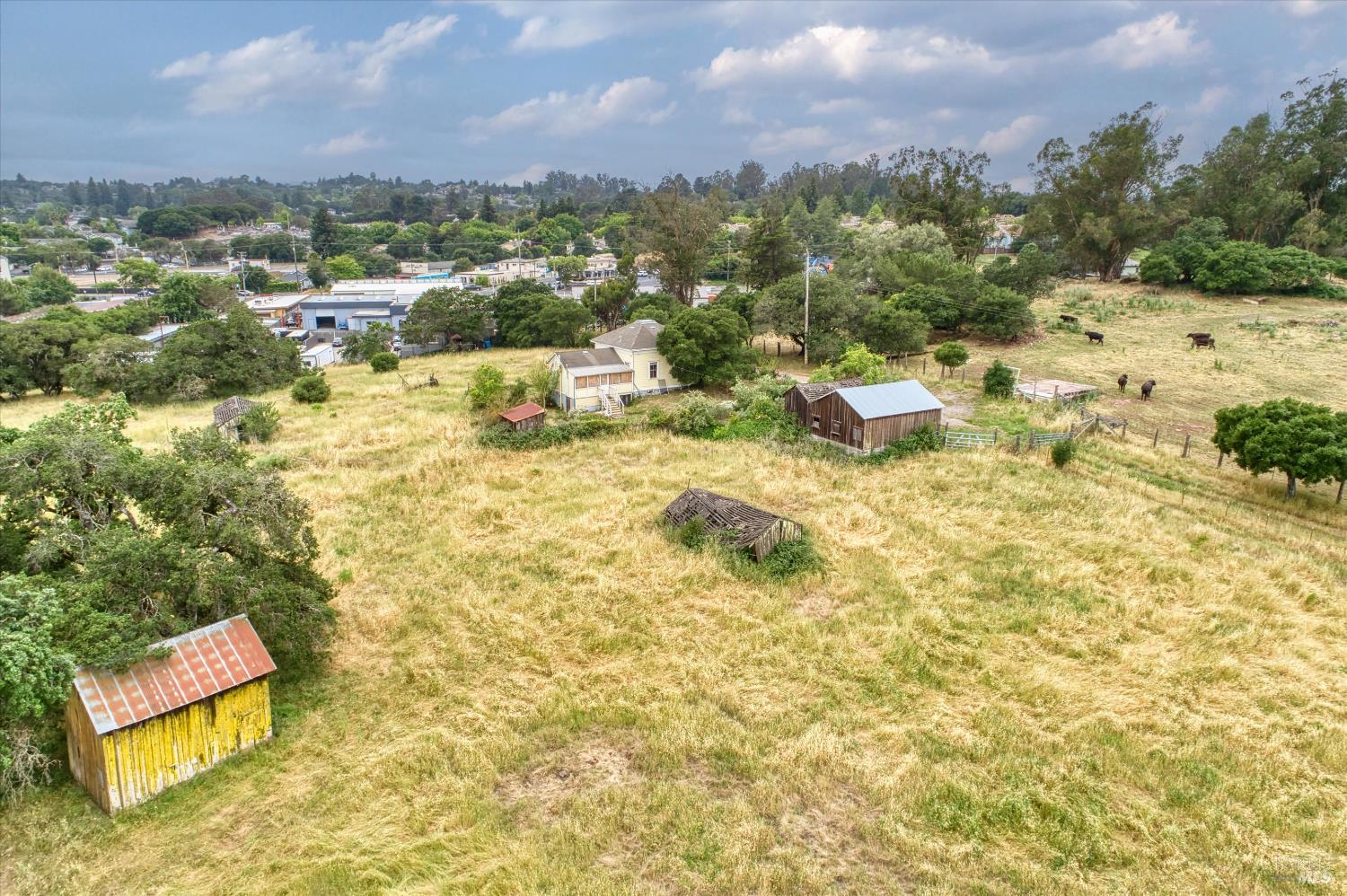 195 Cinnabar Avenue Petaluma CA 94952
