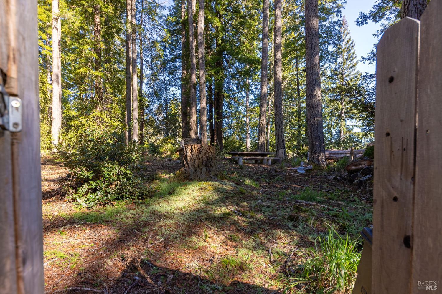 22000 Timber Cove Road Jenner CA 95450