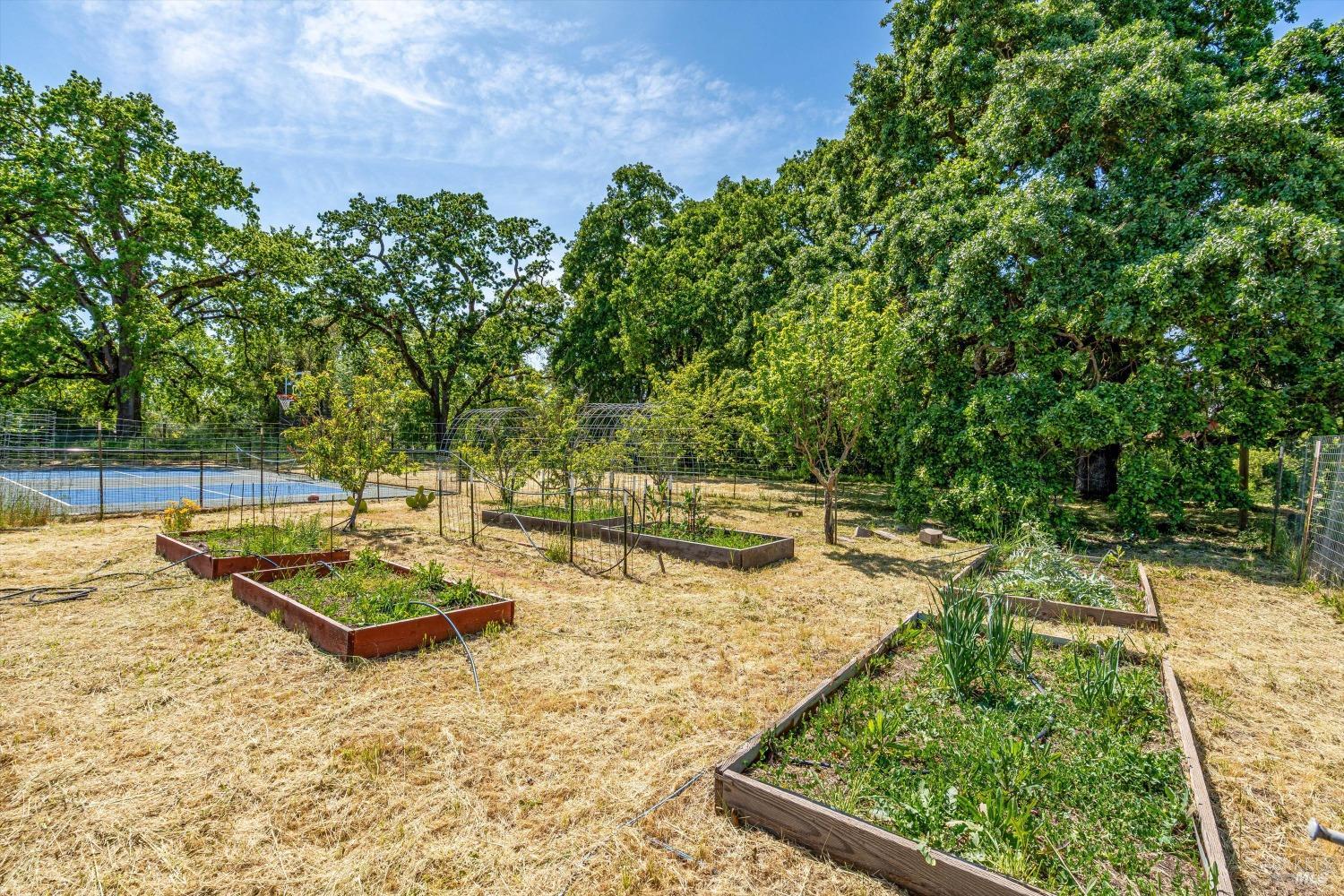 1079 Hedgeside Avenue Napa CA 94558