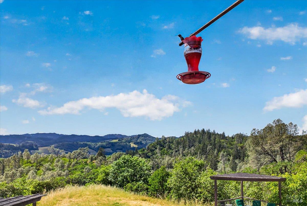 23881 Walling Road Geyserville CA 95441