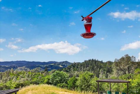23881 Walling Road Geyserville CA 95441
