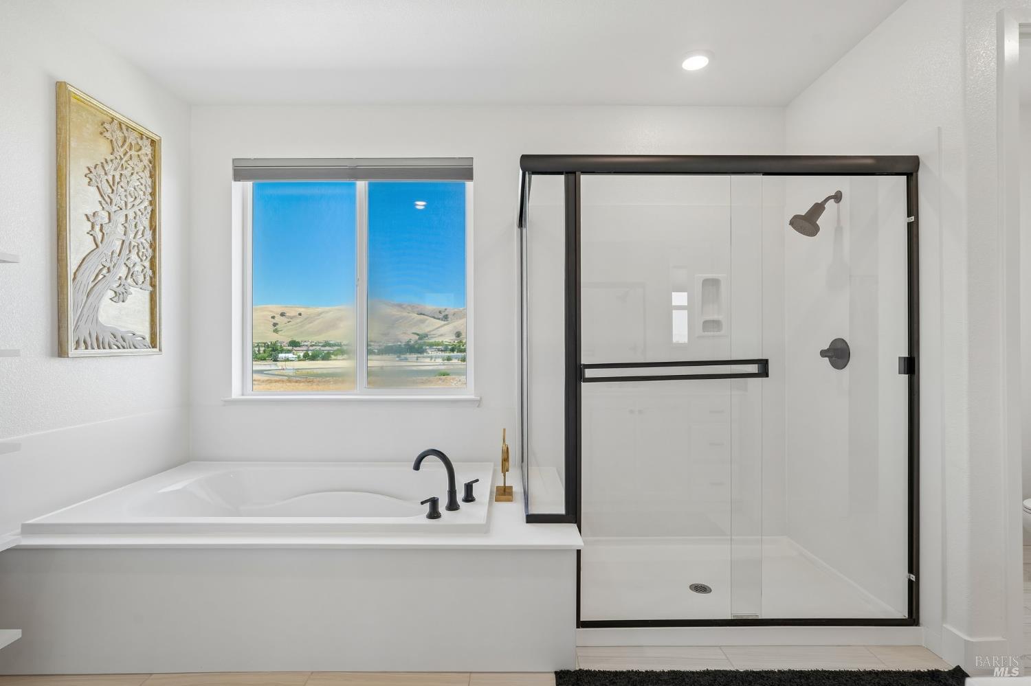 2541 Elan Place Fairfield CA 94533