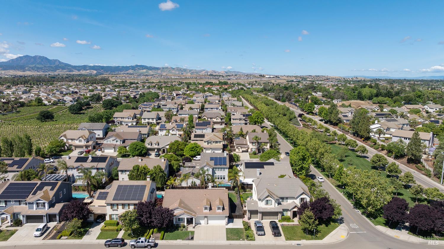 16 Privet Court Oakley CA 94561