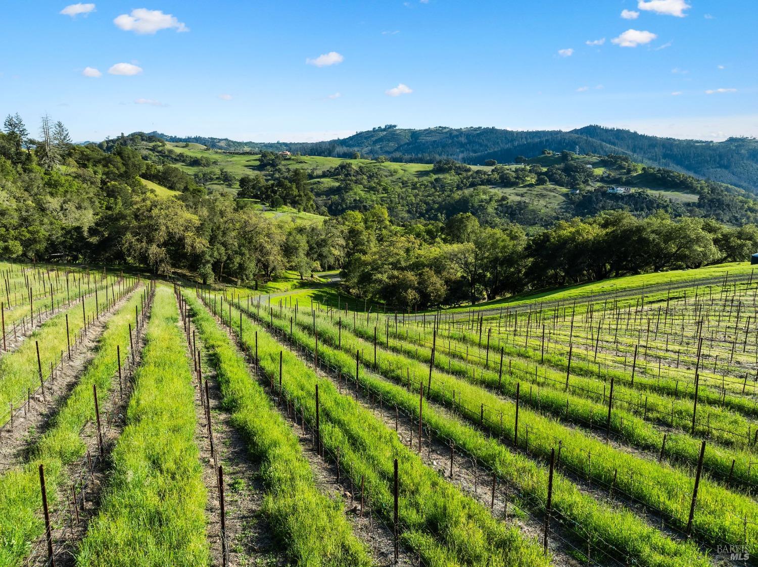 3900 Franz Valley Road Santa Rosa CA 95404