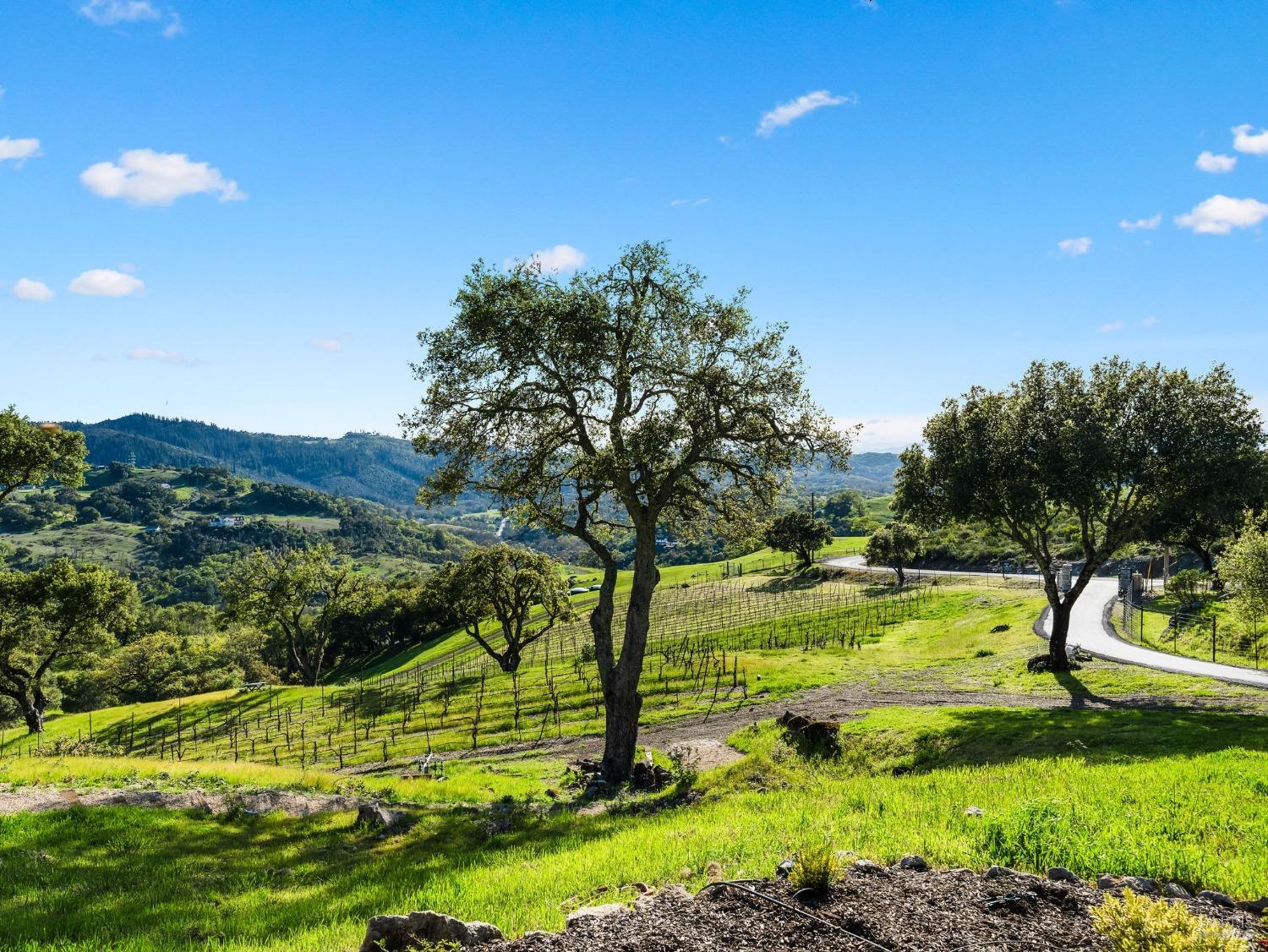 3900 Franz Valley Road Santa Rosa CA 95404