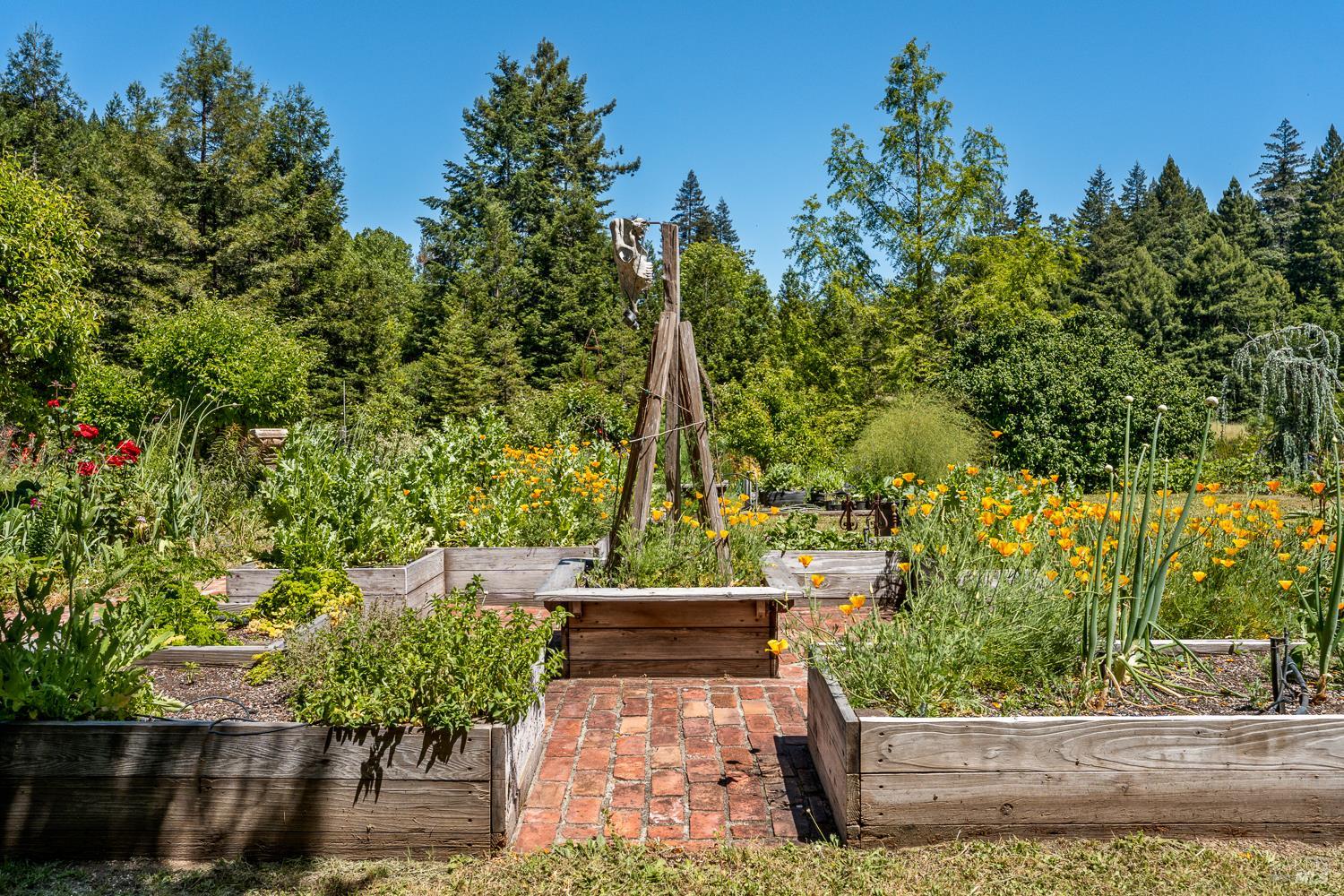31501 Comptche Ukiah Road Comptche CA 95427