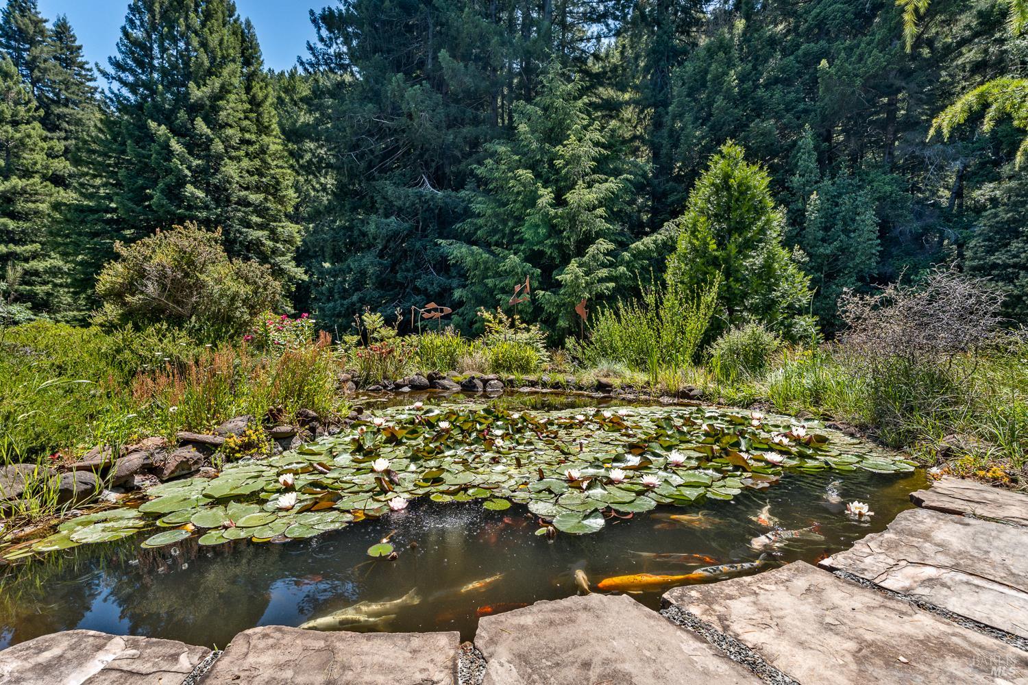 31501 Comptche Ukiah Road Comptche CA 95427
