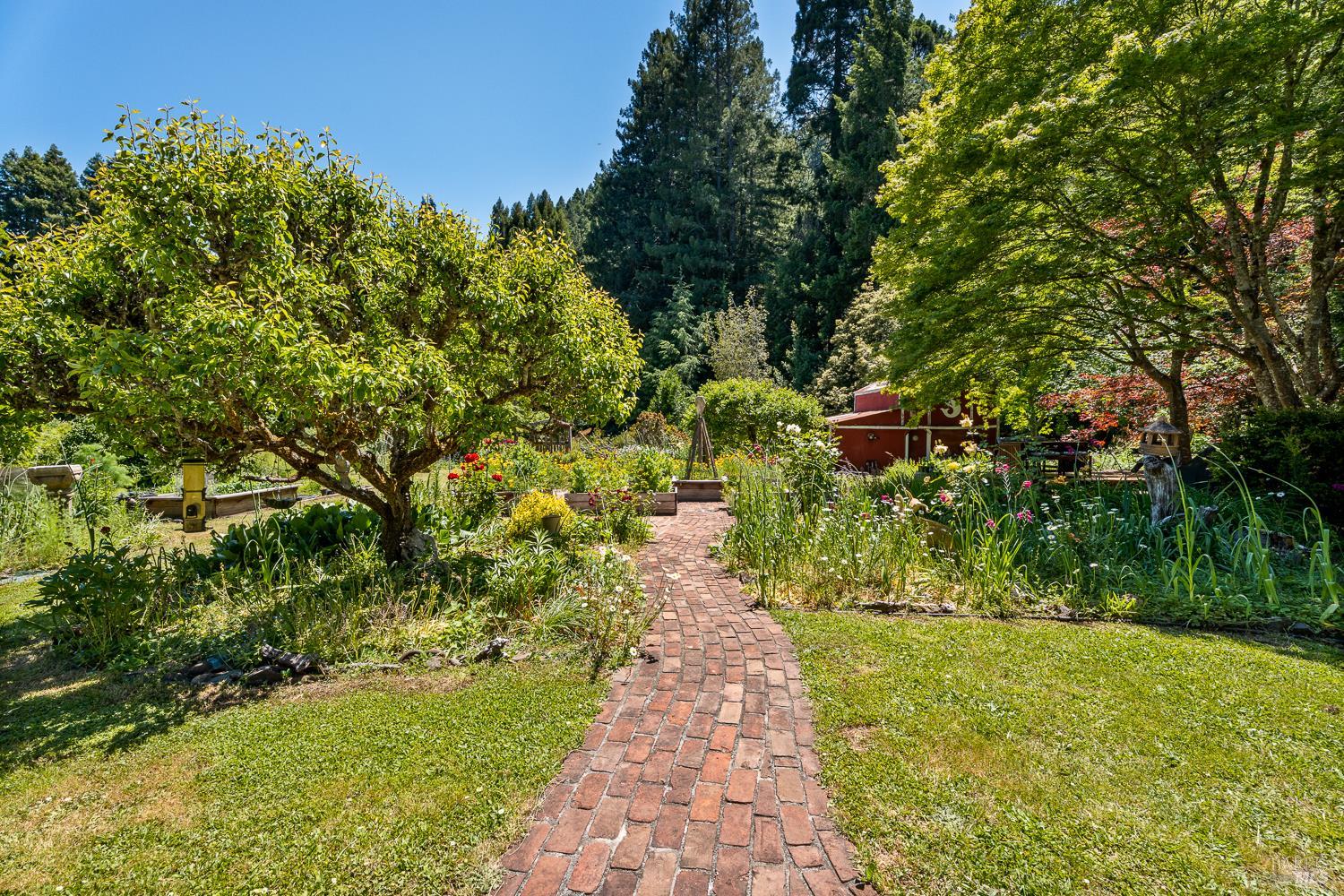 31501 Comptche Ukiah Road Comptche CA 95427