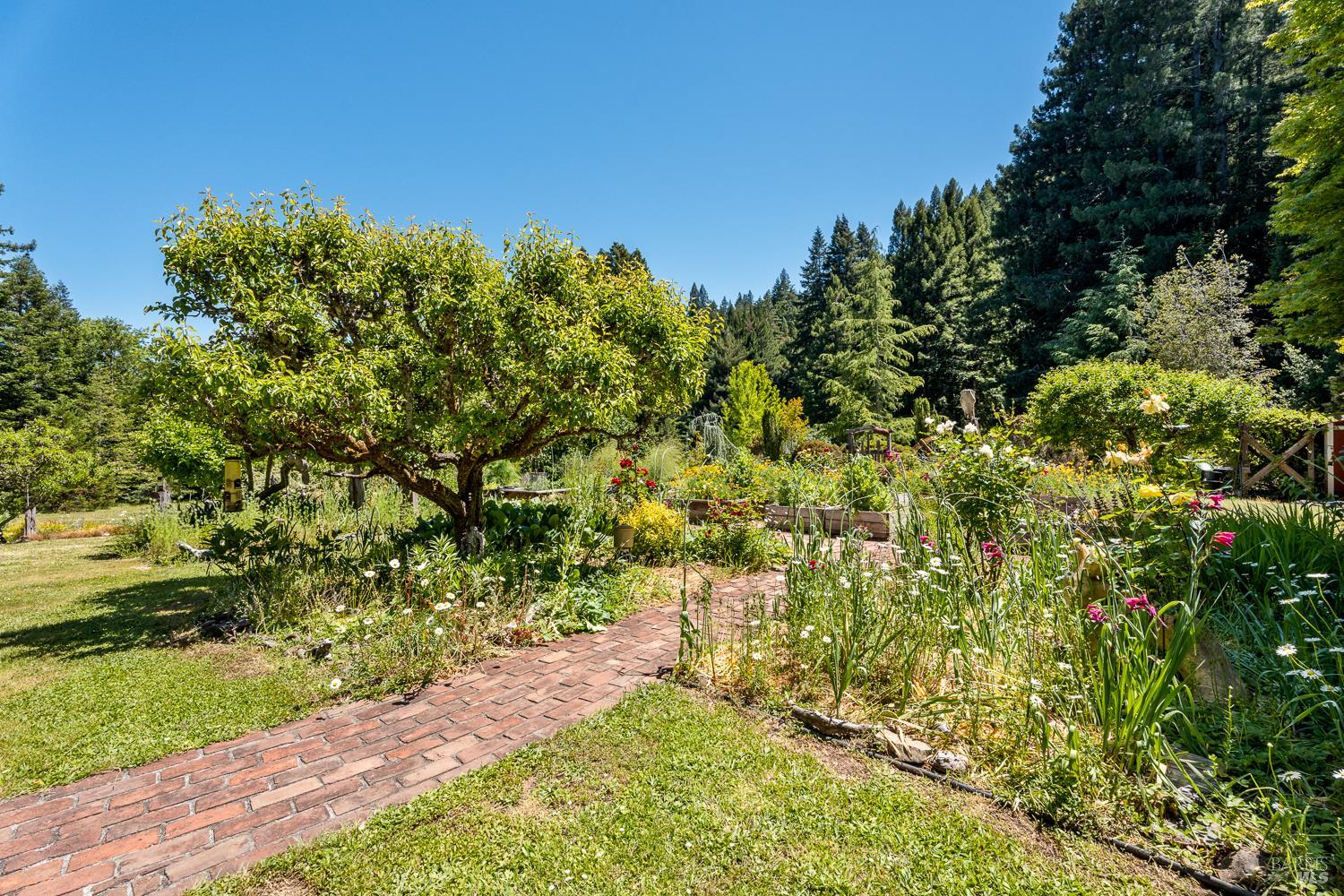 31501 Comptche Ukiah Road Comptche CA 95427