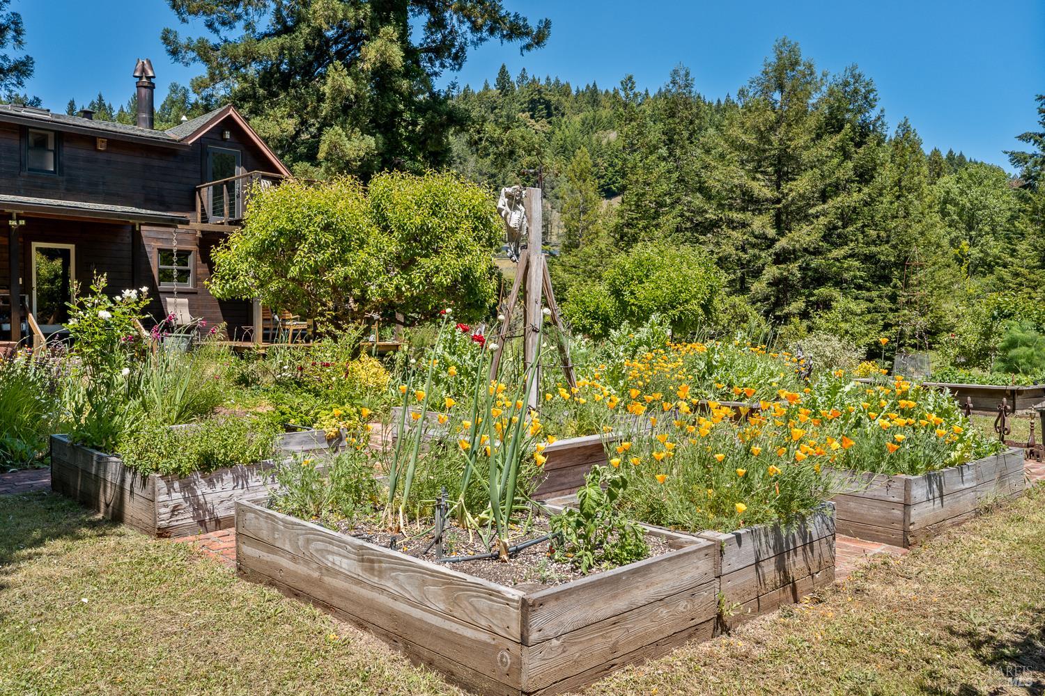 31501 Comptche Ukiah Road Comptche CA 95427