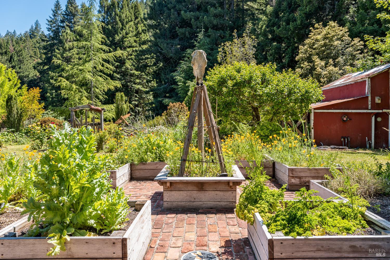 31501 Comptche Ukiah Road Comptche CA 95427