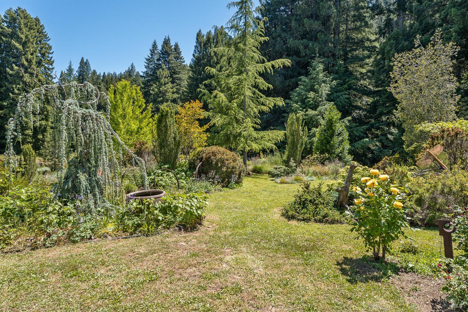 31501 Comptche Ukiah Road Comptche CA 95427