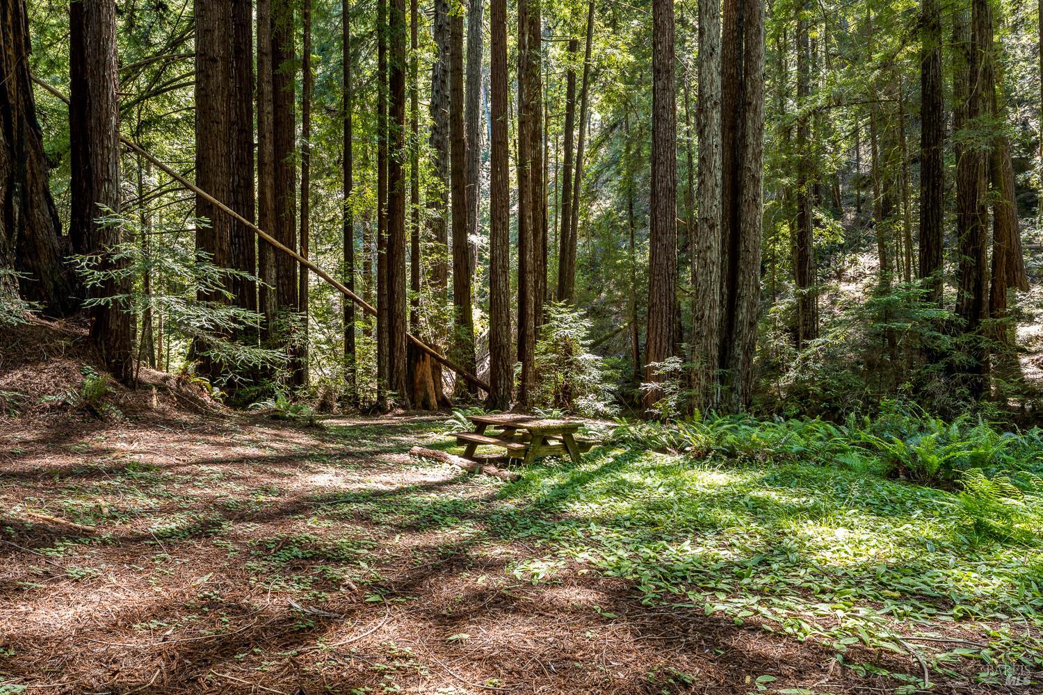 31501 Comptche Ukiah Road Comptche CA 95427
