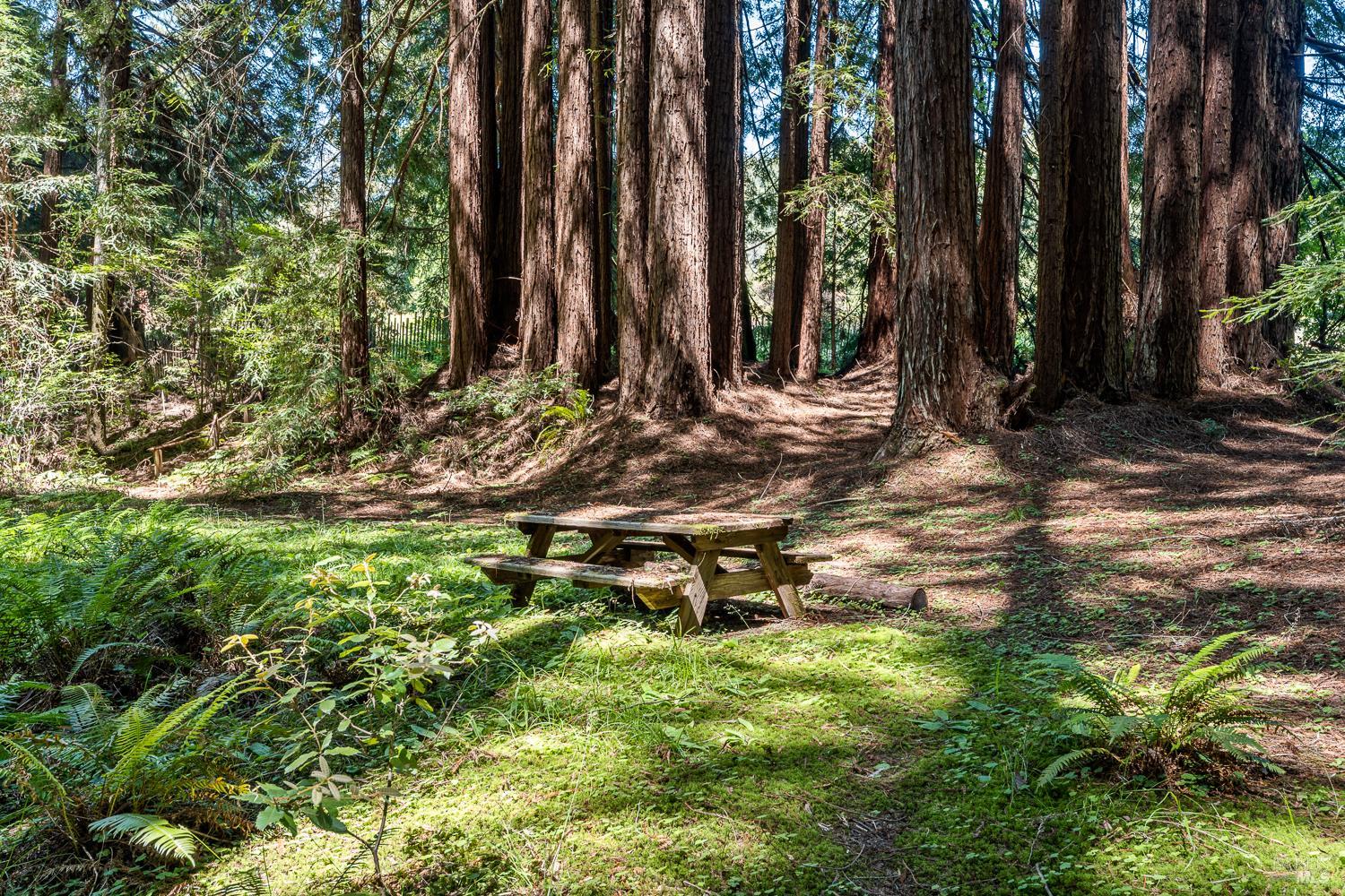 31501 Comptche Ukiah Road Comptche CA 95427